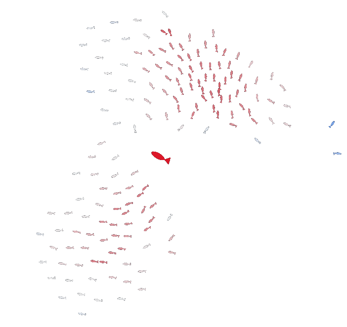 Boids Simulation von Schwarmverhalten
